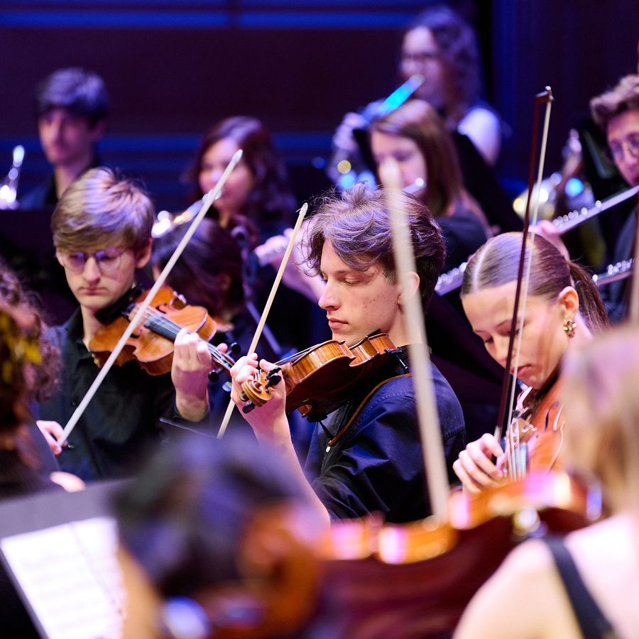CvA Symphony Orchestra © Parcifal Werkman