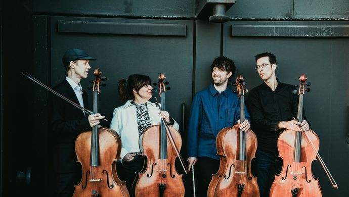 Metrocelli©Annemone Taake