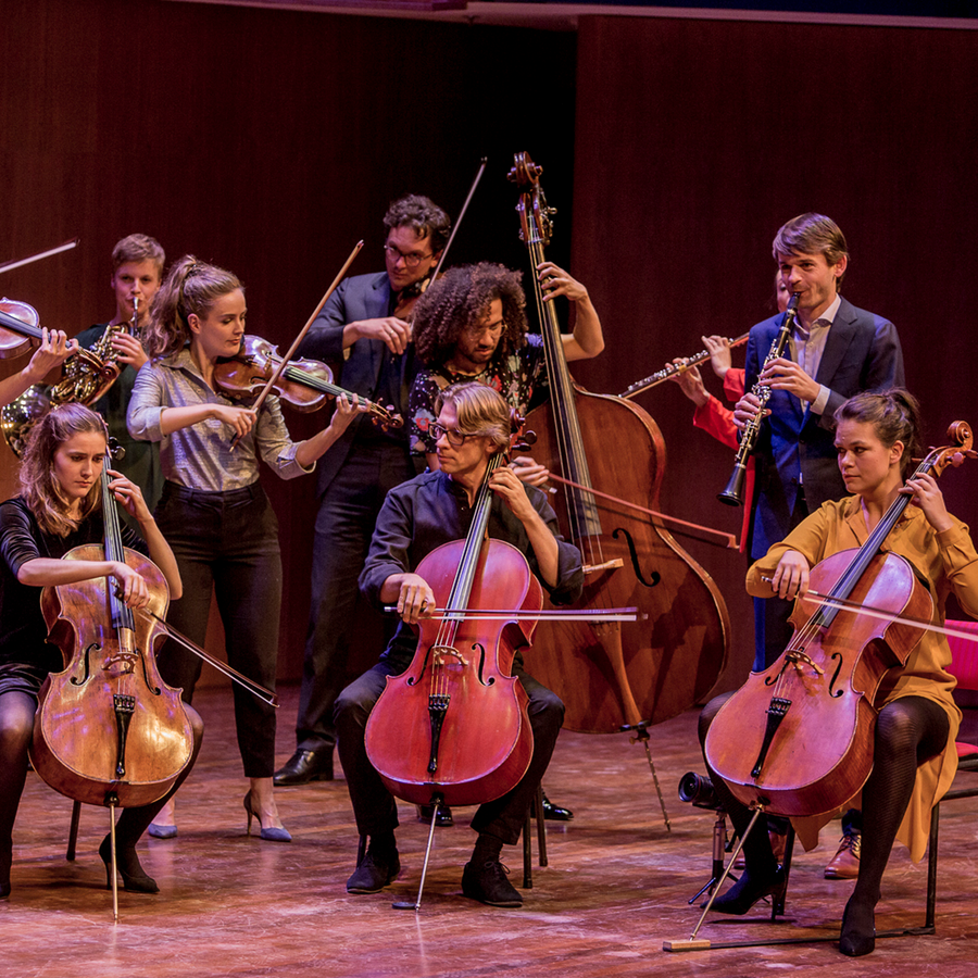 Pynarello (foto Foppe Schut)