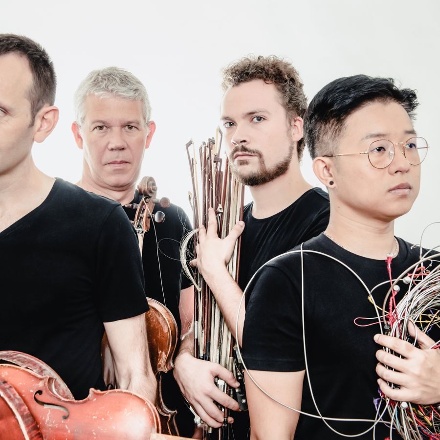 Quatuor Diotima (foto Michel Nguyen)