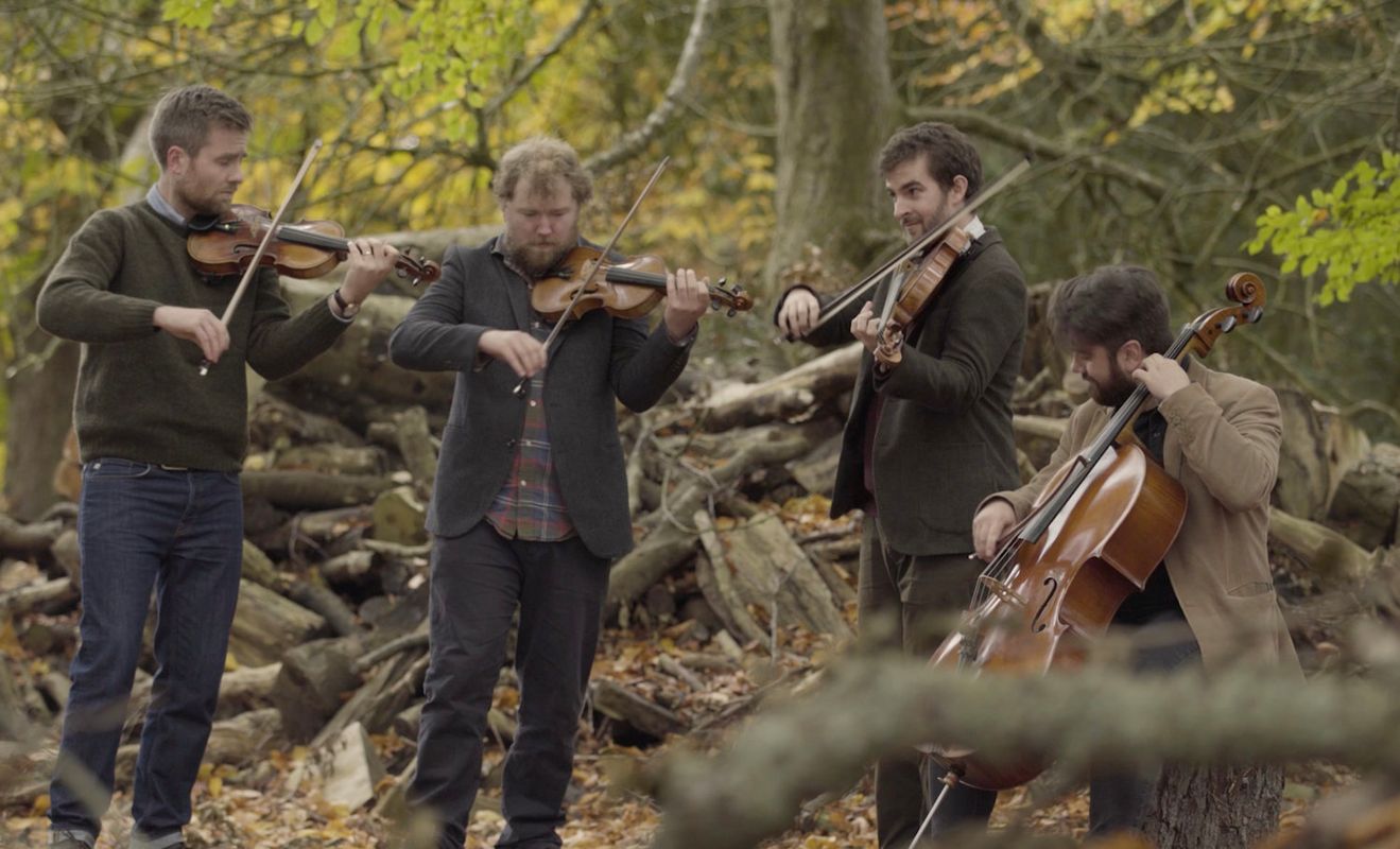 Maxwell Quartet (foto Louise Mather)