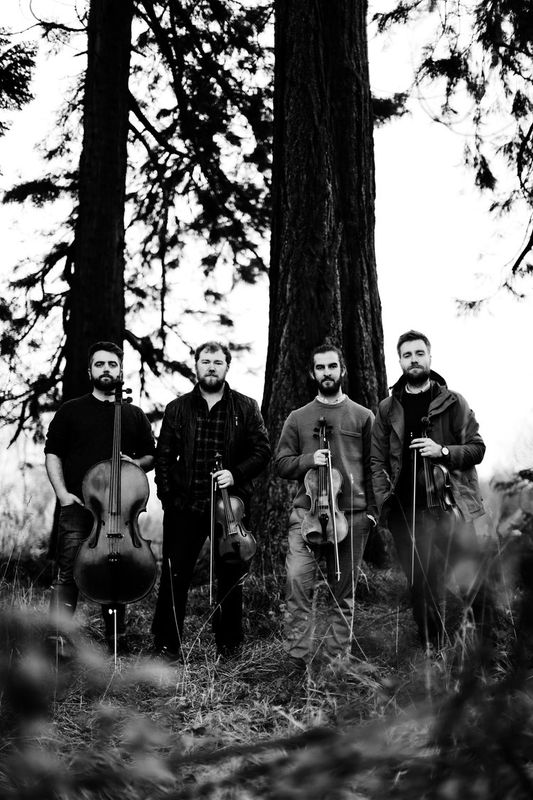 Maxwell Quartet (foto Louise Mather)