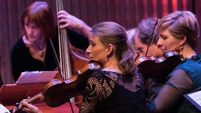 Nederlands Kamerorkest (foto Roland Knapp)
