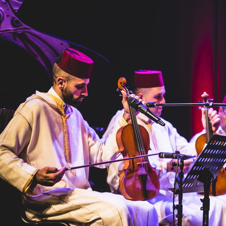 Amsterdams Andalusisch Orkest 