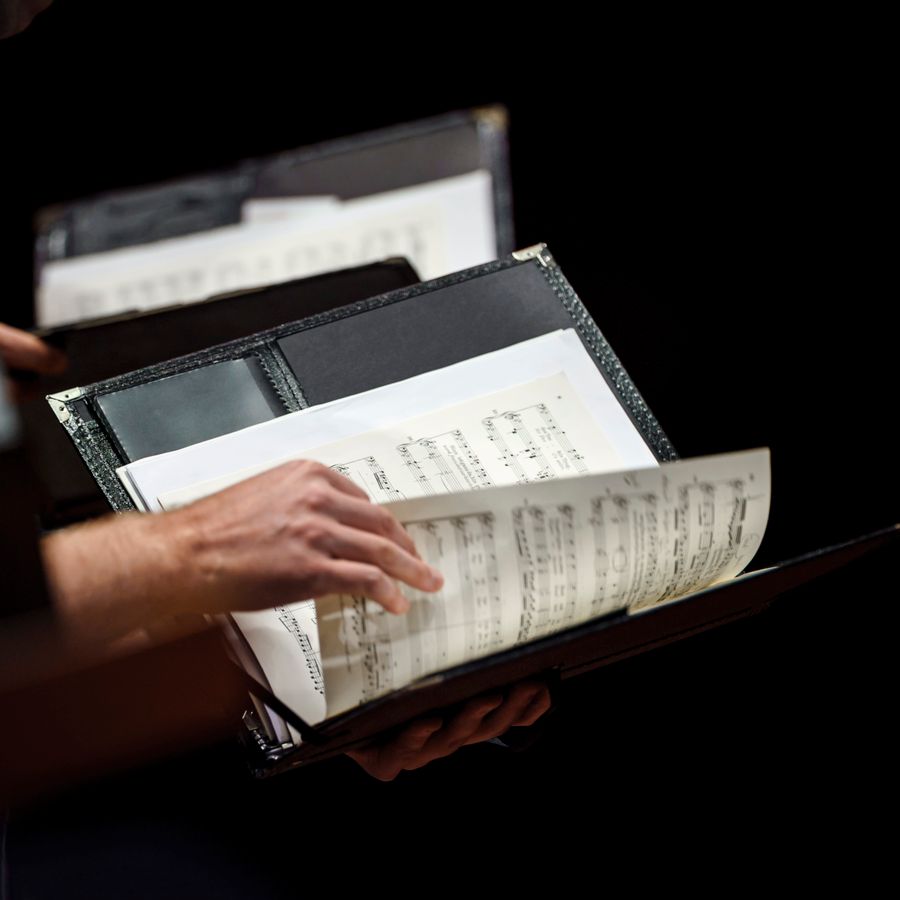 Nederlandse Bachvereniging (foto Hans van der Woerd)