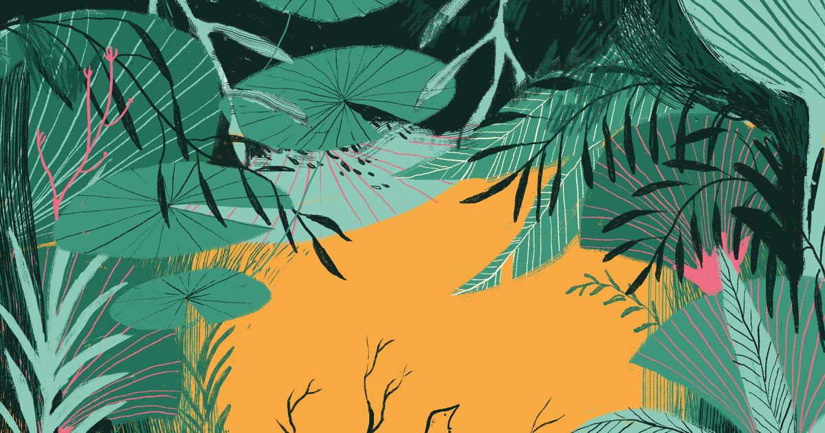 Vogelkind en mammoetboom (8+) — Oorkaan Ensemble + Jeannine Valeriano